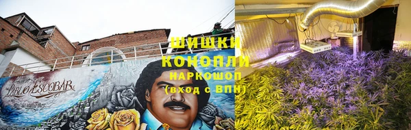 сатива Арсеньев