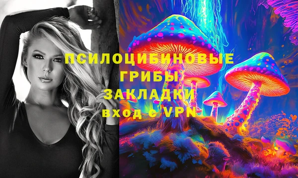 гидропоника Кодинск