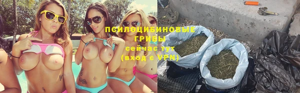 сатива Арсеньев